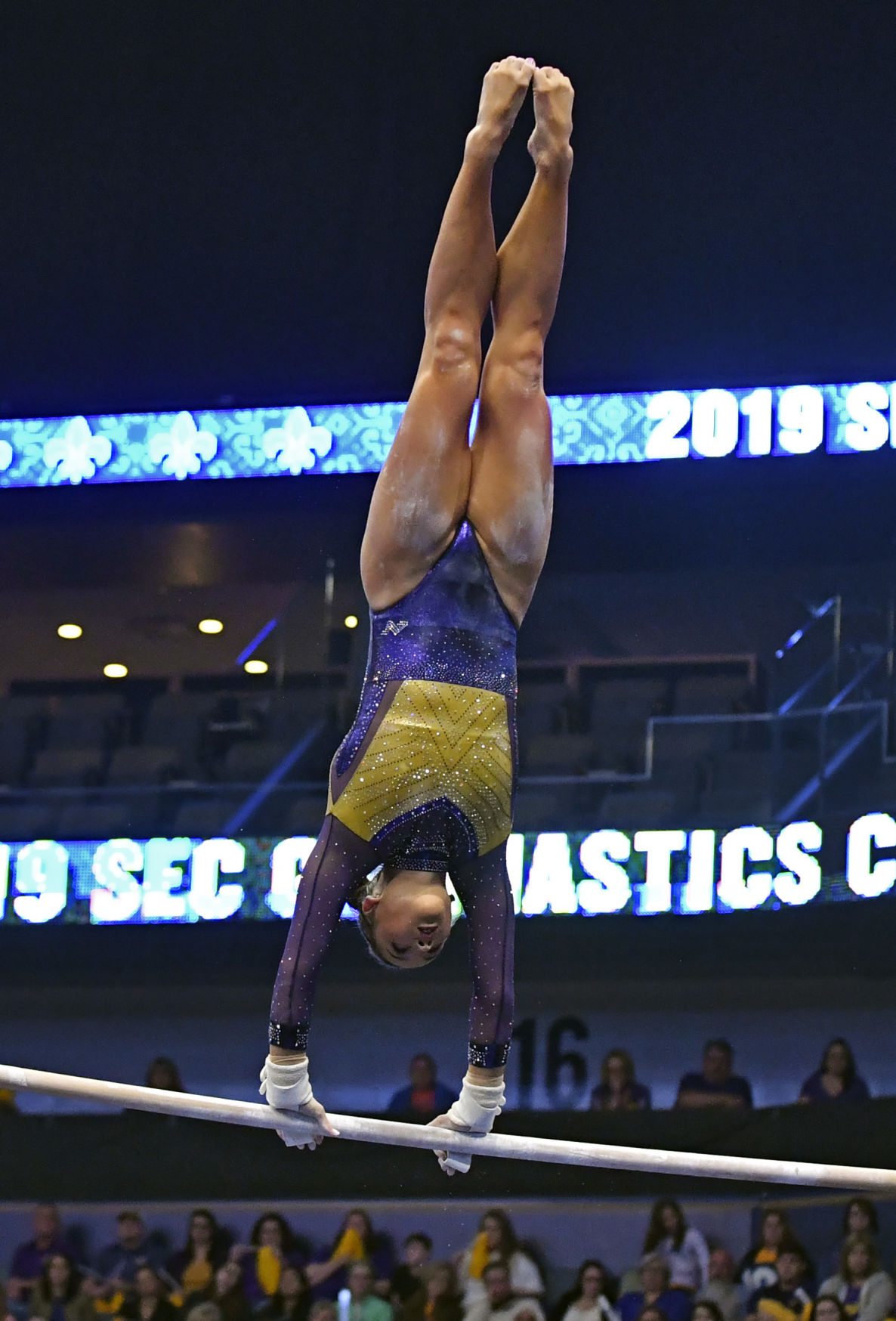 lsugymnastics.032219 HS 4220.JPG